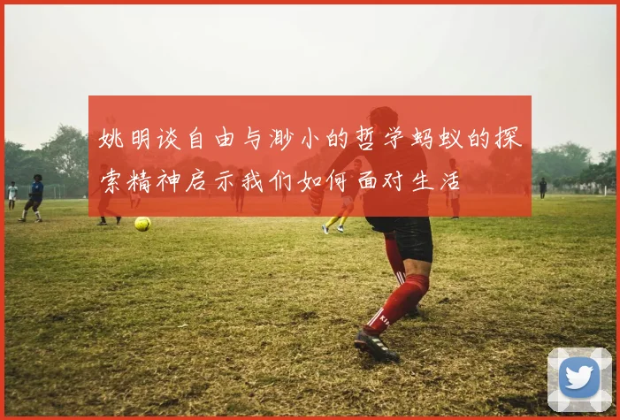 姚明谈自由与渺小的哲学蚂蚁的探索精神启示我们如何面对生活